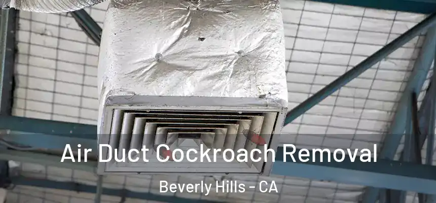  Air Duct Cockroach Removal Beverly Hills - CA