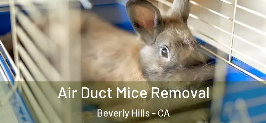  Air Duct Mice Removal Beverly Hills - CA