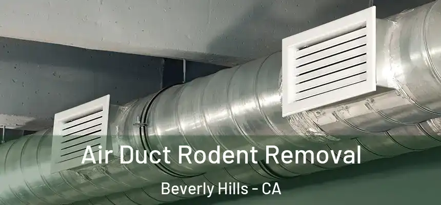  Air Duct Rodent Removal Beverly Hills - CA