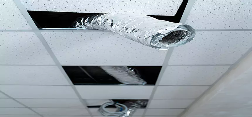 Affordable HVAC Sanitizing After Pest Removal in Beverly Hills