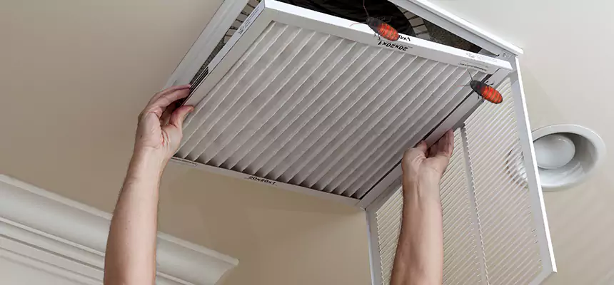 Our Insect Removal from Air Ducts Services in Beverly Hills, CA