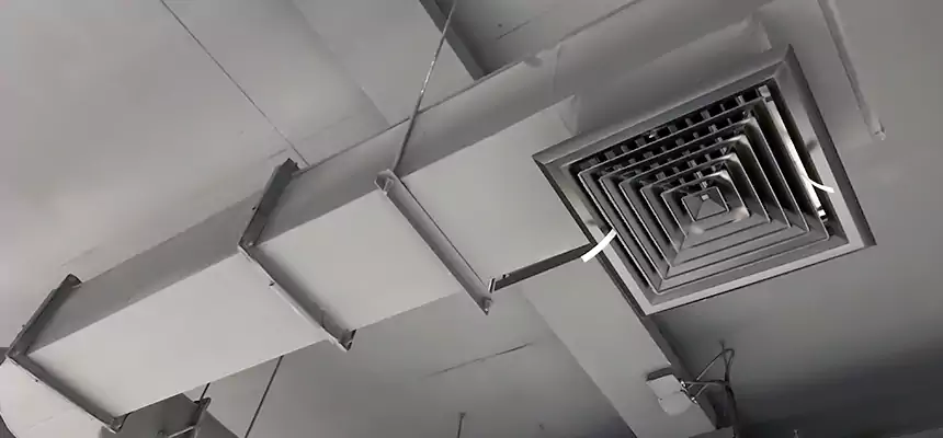 Our Pest Removal From Ducts Services in Beverly Hills, CA