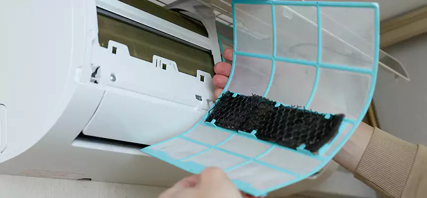 Gentle Ductwork Odor-Control Pet Dander Duct Cleaning in Beverly Hills, CA