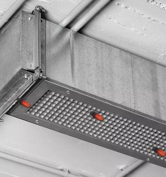 About Air Duct Cockroach Removal in Beverly Hills, CA