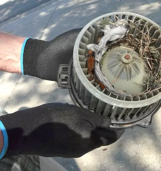 About Air Duct Mice Removal in Beverly Hills, CA