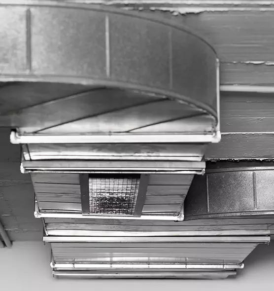 Professional Air Duct Pet Hair Removal in Beverly Hills, CA