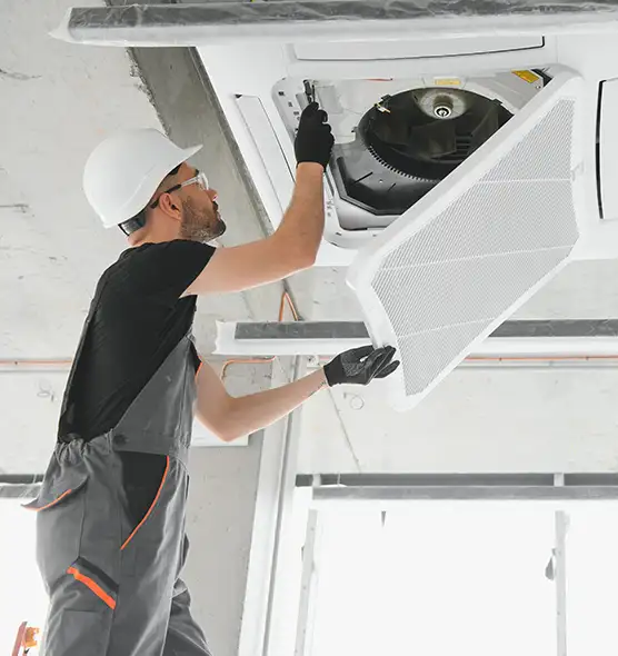 About Air Duct Rodent Removal in Beverly Hills, CA