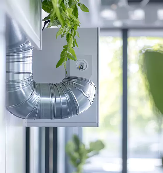 Professional Eco-Friendly Duct Cleaning Services in Beverly Hills, CA