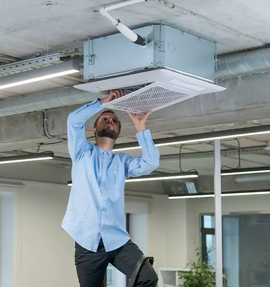 Advanced Rodent Droppings In Vents in Beverly Hills, CA