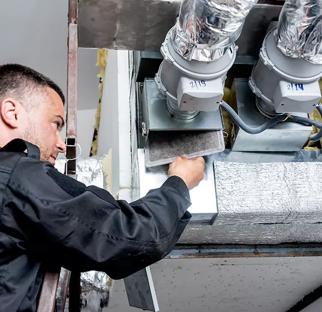 Why Homeowners & Businesses Trust Us in Beverly Hills, CA?