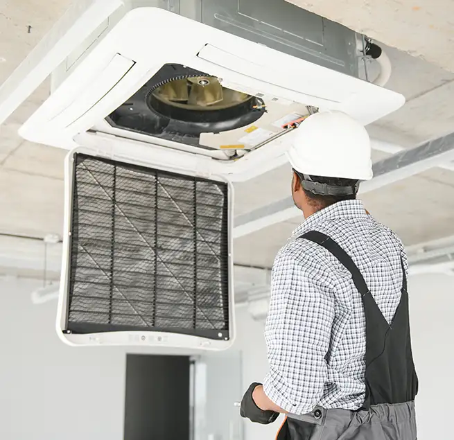 Why Homeowners & Businesses Trust Us in Beverly Hills, CA?