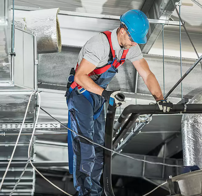 Why Homeowners & Businesses Trust Us in Beverly Hills, CA?