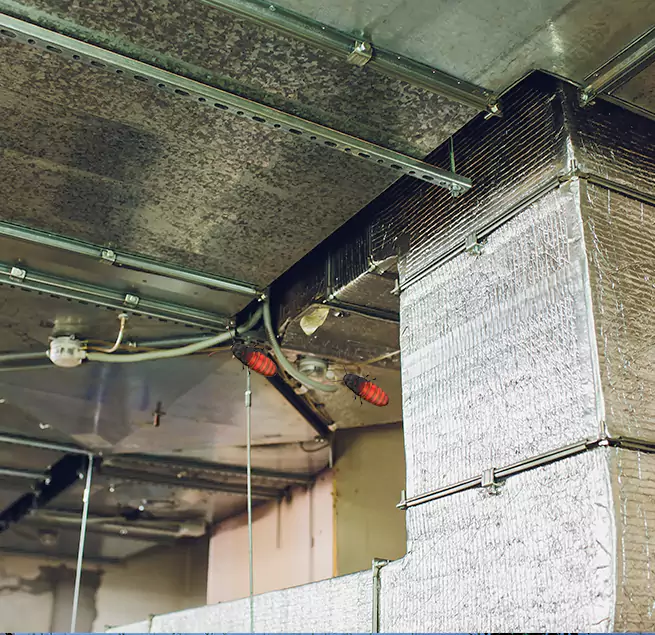 Why Homeowners & Businesses Trust Us in Beverly Hills, CA?