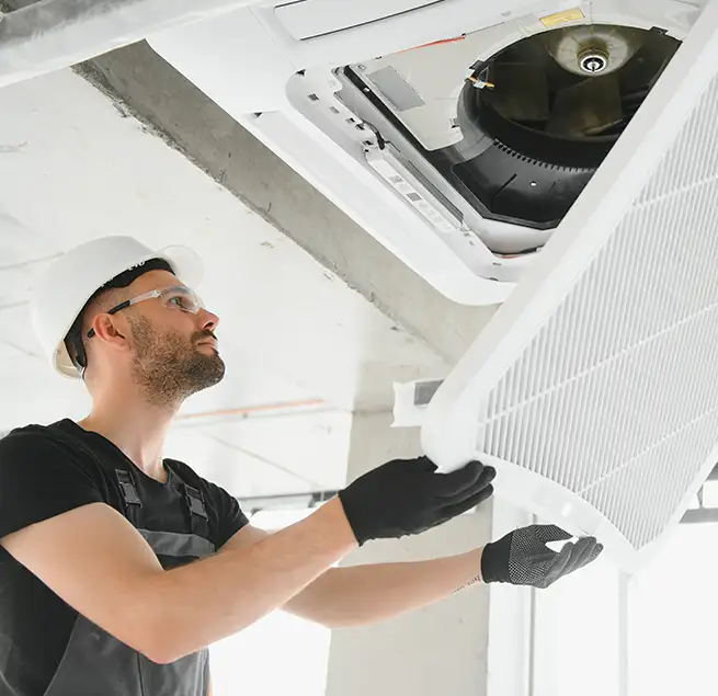 Why Homeowners & Businesses Trust Us in Beverly Hills, CA?