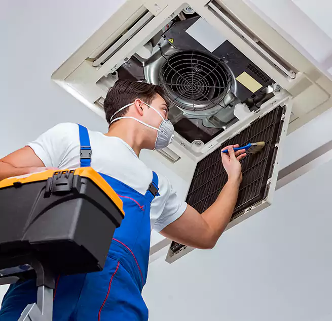 Why Homeowners & Businesses Trust Us in Beverly Hills, CA