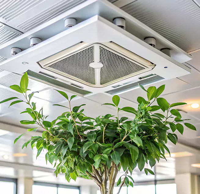 Why Homeowners & Businesses Trust Us in Beverly Hills, CA?