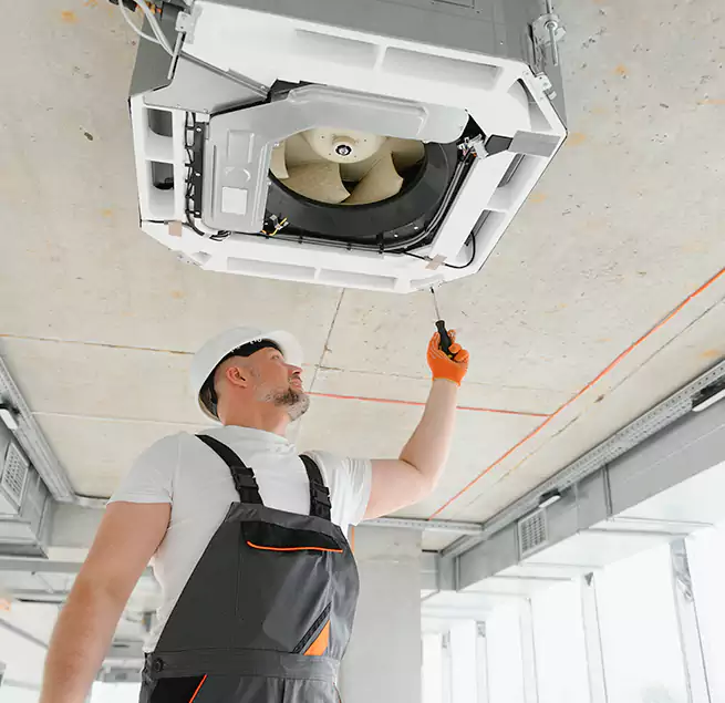 Why Homeowners Businesses Trust Us in Beverly Hills, CA