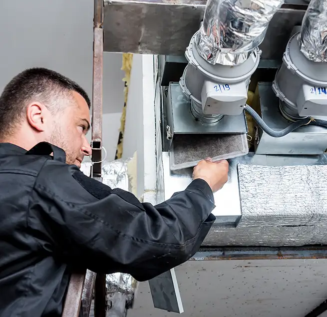 Why Homeowners & Businesses Trust Us in Beverly Hills, CA?